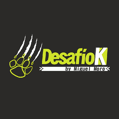 logo desafiok